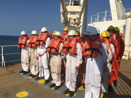 陽(yáng)海國(guó)際船舶公司誠(chéng)聘招生代理，共拓國(guó)際船舶管理業(yè)務(wù)新篇章