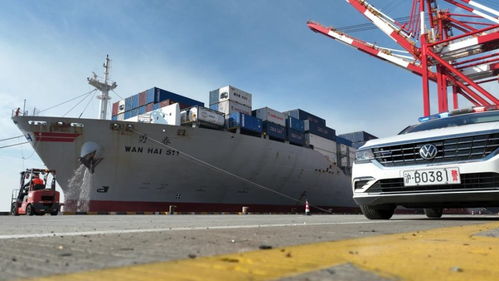 春節(jié)臨近，上海邊檢助力民生物資快速抵滬，保障國(guó)際船舶管理業(yè)務(wù)高效運(yùn)轉(zhuǎn)