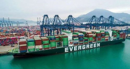 美團(tuán)進(jìn)軍公路貨運(yùn)市場(chǎng)，快遞企業(yè)雙十一戰(zhàn)報(bào)亮眼