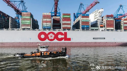 營收87.7億美元創(chuàng)紀(jì)錄 這家船司2025全年業(yè)績深度解析與國際船舶管理業(yè)務(wù)展望