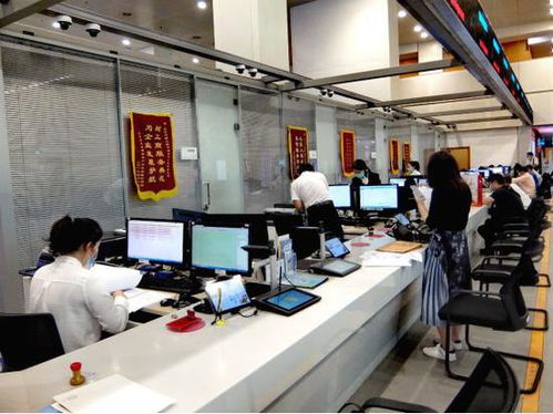 科技賦能，服務(wù)百姓——北京順義區(qū)創(chuàng)新技術(shù)服務(wù)模式探秘